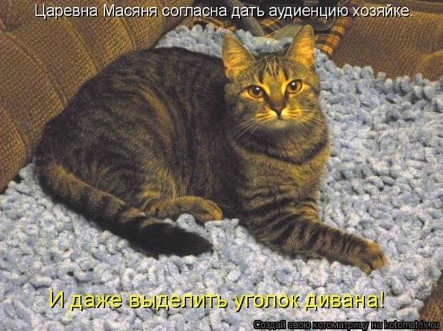 Мысли вслух :)