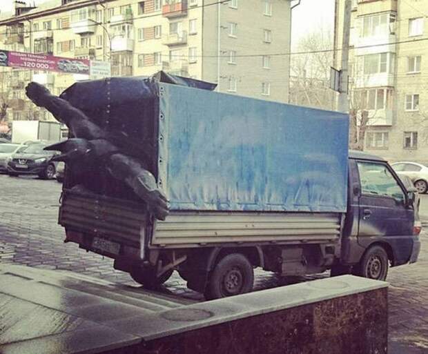 Впихнуть невпихуемое Впихнуть невпихуемое, приколы, удачный кадр, юмор