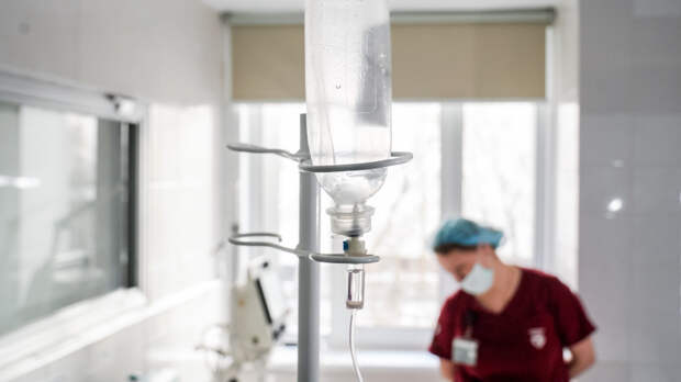 Плесень на завтрак: названа причина массового отравления в школе Зеленограда