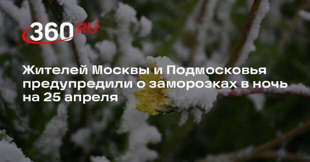 Жителей Москвы и Подмосковья предупредили о заморозках в ночь на 25 апреля
