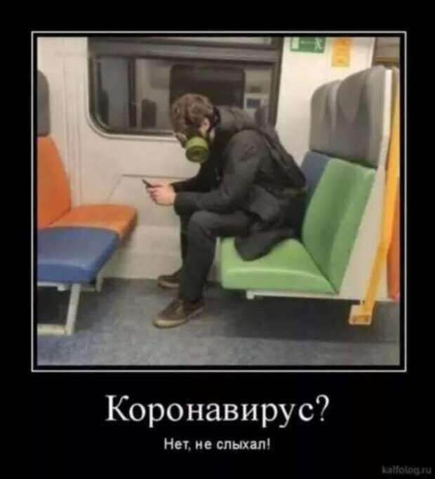 Демотиваторы про коронавирус с надписями. Подборка chert-poberi-dem-koronavirus-chert-poberi-dem-koronavirus-27230329102020-7 картинка chert-poberi-dem-koronavirus-27230329102020-7
