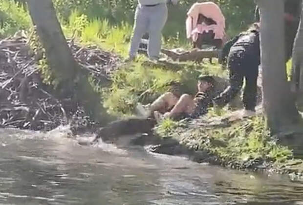 Схватка семьи с крупным бешеным бобром на берегу озера попала на видео