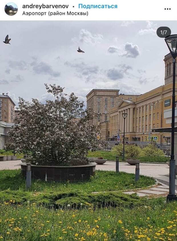 Фото дня: погожий день в Аэропорте