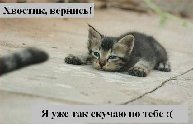 Мысли2 :) (50мыслей)