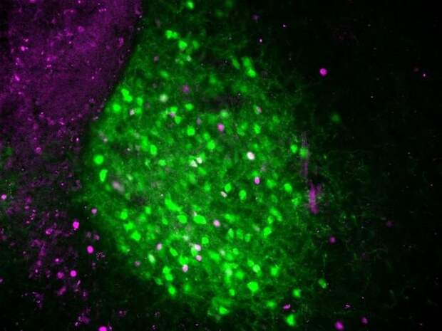 Ночь тревожных снов: почему новое окружение влияет на наш сон