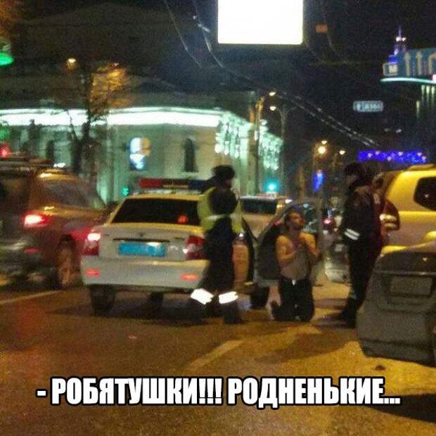 Смешные картинки с надписями для настроения (10 фото) Смешные картинки с надписями для настроения (10 фото)