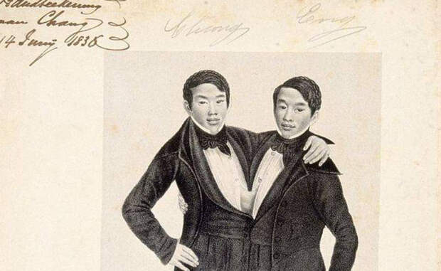 Чанг и Энг Бункер Сиамские близнецы Чанг и Энг родились в Таиланде (Сиам, на ту пору) в 1811 году. С 1829 братья путешествовали с гастролями по всему миру и даже давали медицинские лекции. Чанг и Энг завоевали такую славу, что определение «сиамские близнецы» было признано в качестве научного термина. В конце концов близнецы прикупили домик в американской глубинке и даже женились, чем вызывали целый поток негодования со стороны пуританской общественности. Жены близнецов также были сестрами, правда обычными, и родили Бункерам целых 20 детей.