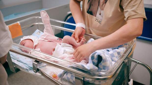 Бум на «королевские» двойни замечен в Приморье