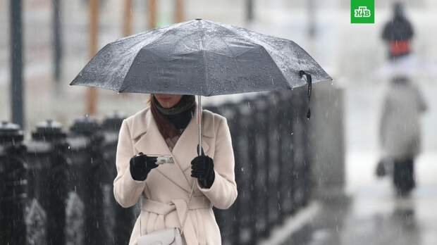 Москвичей ждет дождливая и ветреная погода