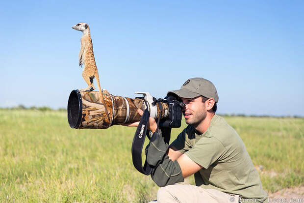 30 причин, почему  фотограф дикой  природы - это самая лучшая  работа в мире