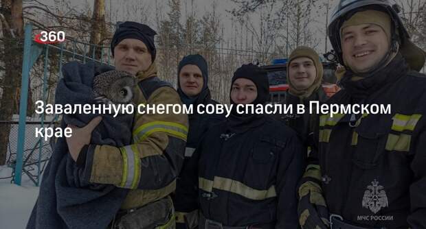 Пермские спасатели во время учений вызволили сову из сугроба