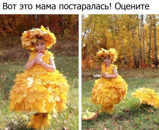 Смешные картинки с надписями прикол, юмор