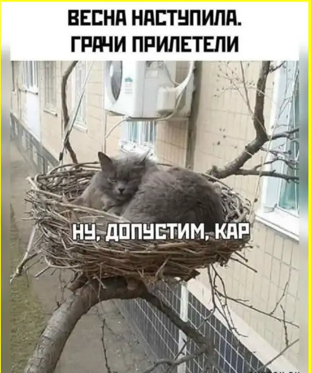 гороскоп март месяц. гороскоп в марте. символ овна в гороскопе. март гороскоп. гороскоп на март 2024 по дням.