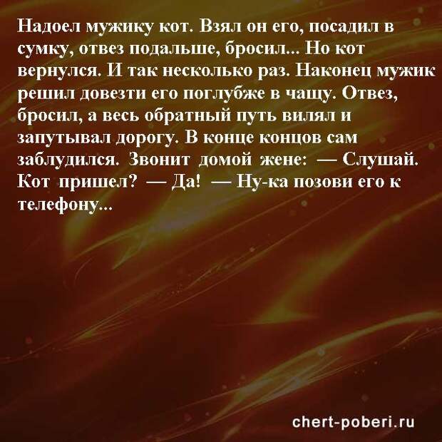 Самые смешные анекдоты ежедневная подборка chert-poberi-anekdoty-chert-poberi-anekdoty-59080625062020-15 картинка chert-poberi-anekdoty-59080625062020-15