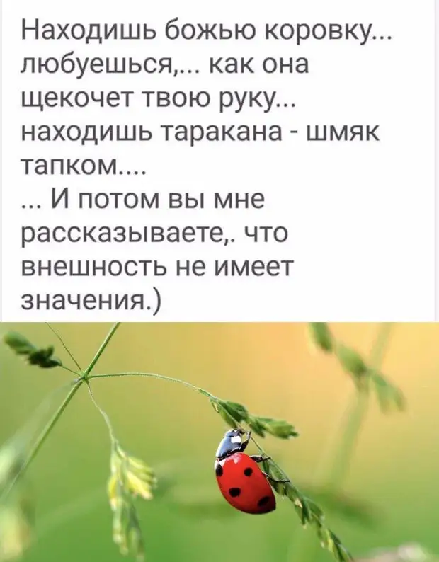 25 шуточек и анекдотов в картинках для чудесного настроения