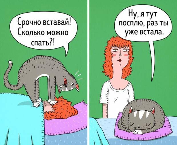 Кошки - самые противоречивые создания на планете