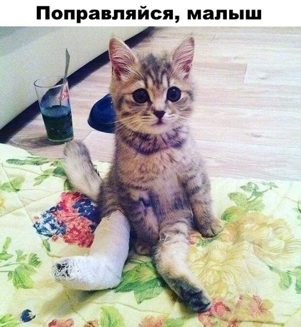 Прикольные картинки и зачетные фотографии с надписями для поднятия настроения на весь день