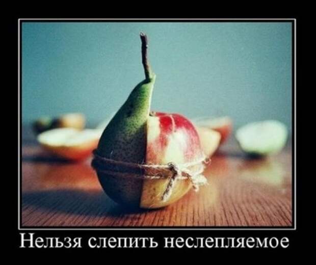 47a6c8cceb174c521b76cafdd73_prev