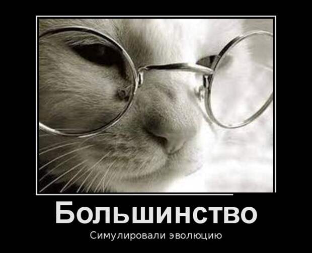 Демотиваторы (30 фото)