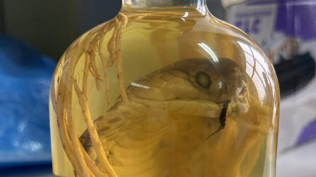 Бутылка вина с коброй / Фото: Алтайская таможня