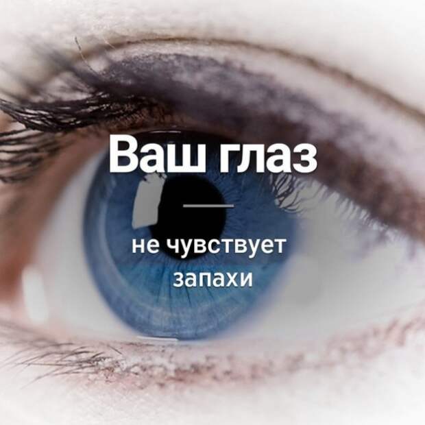 всякостей тут