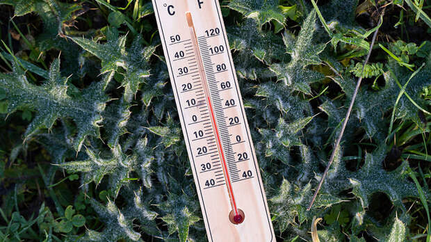 Климатолог Пестрякова: этим летом в России возможны температурные качели