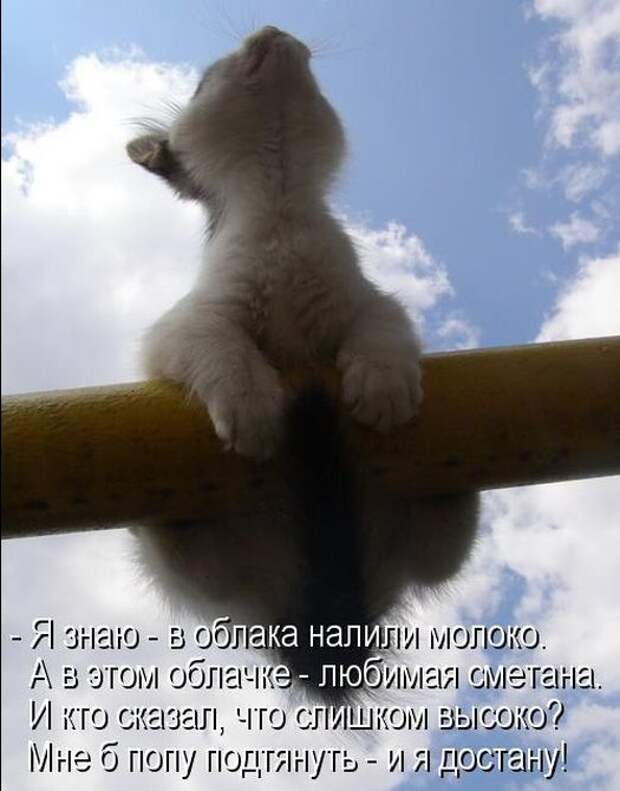 620bf5fb65064b4a2f7d6eb40a4