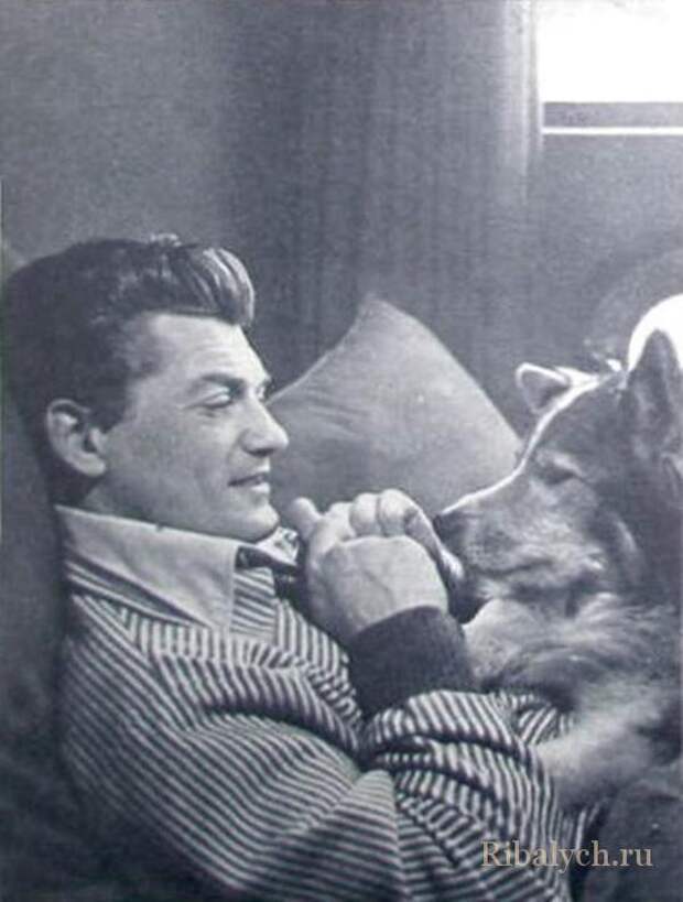 Его любили женщины, а он любил собак  Жан Маре, дружба, собака