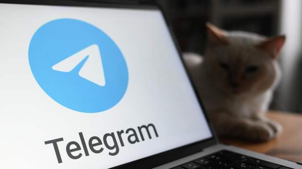 Адвокат объяснил, грозит ли уголовное дело за пользование Telegram