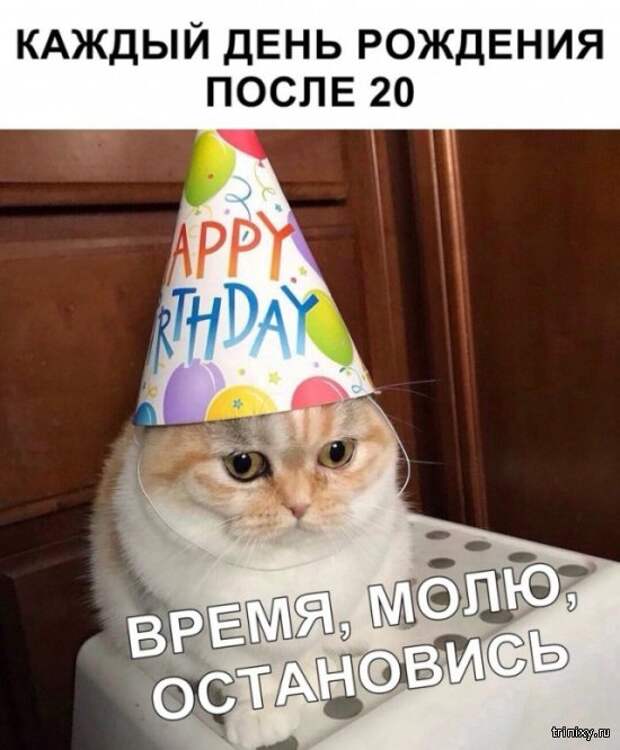 Подборка картинок (20 фото)