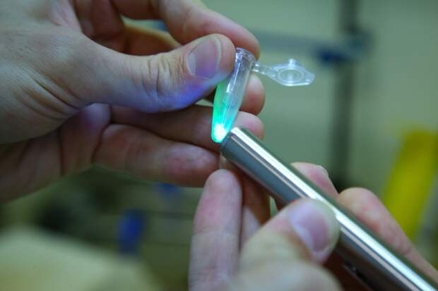 Редакция журнала «Наука и жизнь»: контакты и принципы работы портала