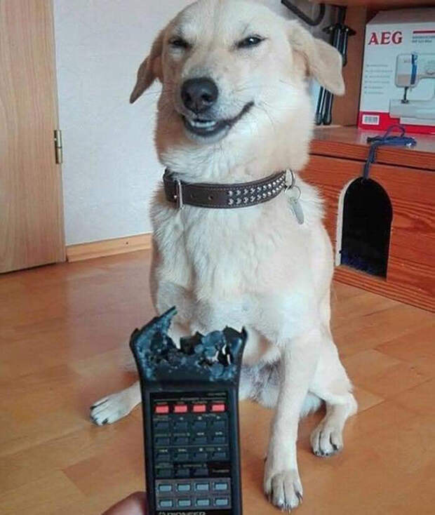 Без сожалений! Без сожалений!