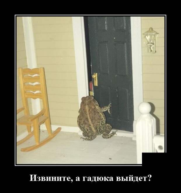 Демотиваторы 11 июня 2021 года