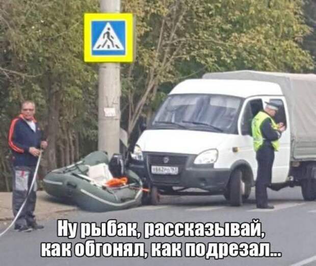 Подборка прикольных картинок
