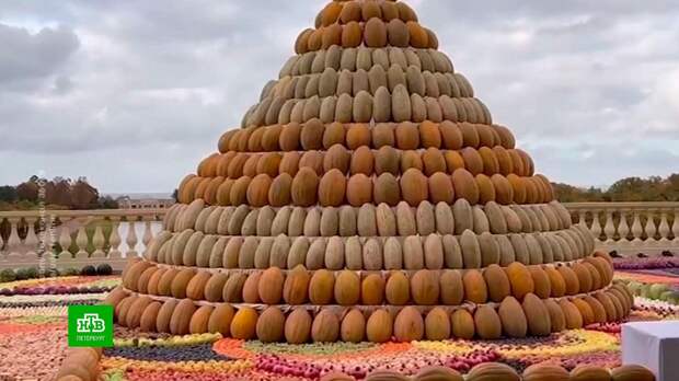 Детские дома Петербурга получили подарок от Путина