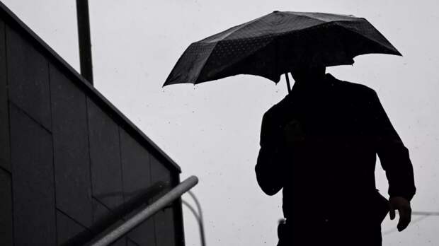 Синоптик Позднякова предупредила о дождях в Москве до мая