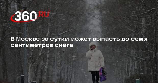 В Москве за сутки может выпасть до семи сантиметров снега