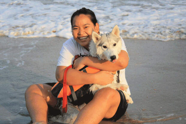 Хаски, родившаяся без лап, нашла хозяйку и стала самой счастливой собакой в инвалидной коляске животные, инвалид, хаски