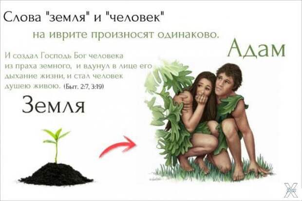 Происхождение человека из земли. Неожиданные открытия