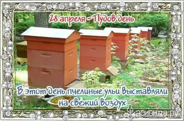 Народный календарь. Дневник погоды 28 апреля 2022 года