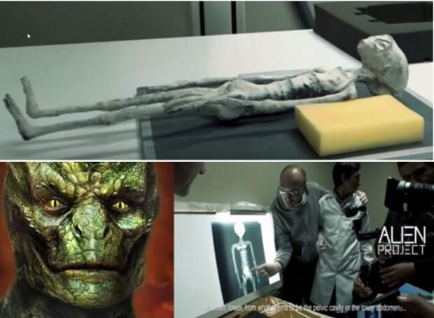 Это исторический момент: найдена мумия чужеродного существа рептилоидного типа!