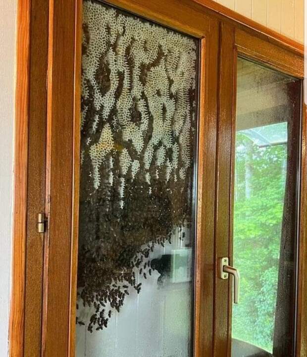 Неприятности случаются
