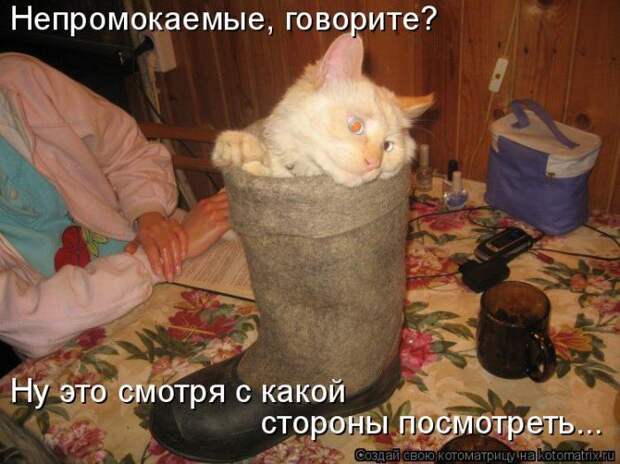 Мысли вслух :)