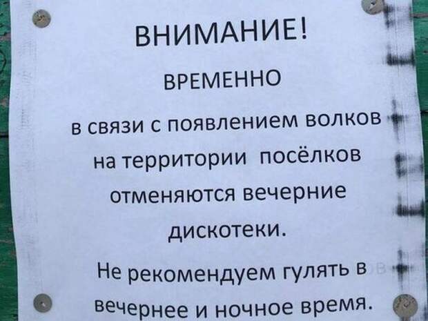 Забавные картинки с надписями для улыбки (12 фото) Забавные картинки с надписями для улыбки (12 фото)