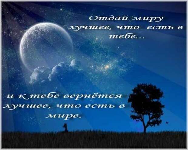 Мудрые высказывания в картинках