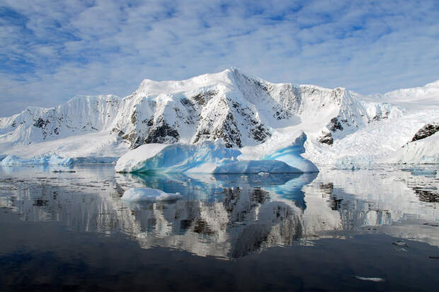 Antarctic Science: янтарь возрастом 92 млн лет найден в Антарктиде