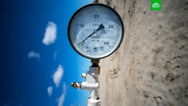 В Германии заявили, что введение эмбарго на газ из РФ стало бы катастрофой