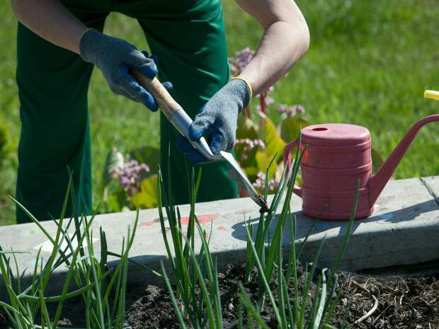 Фермерам Тюменской области могут быть компенсированы 50% затрат на модернизацию и продвижение