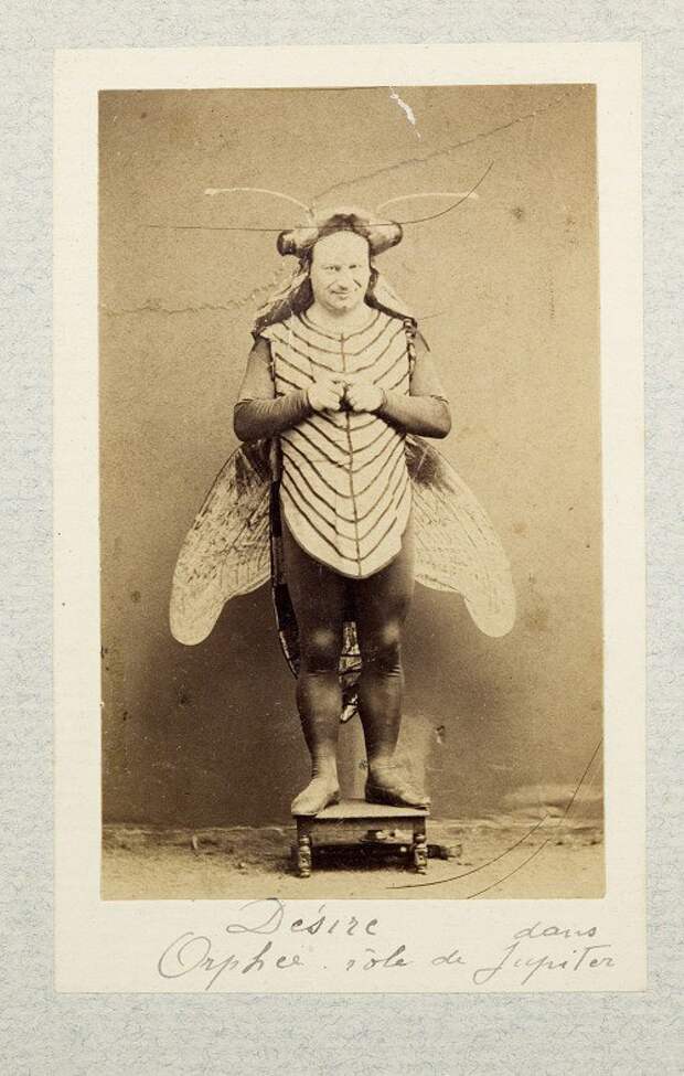 fly costume