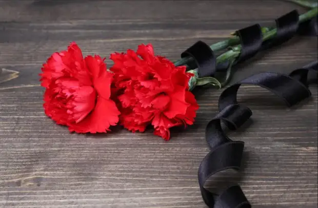 Литовкин сравнил убийц военнопленных с фашистами